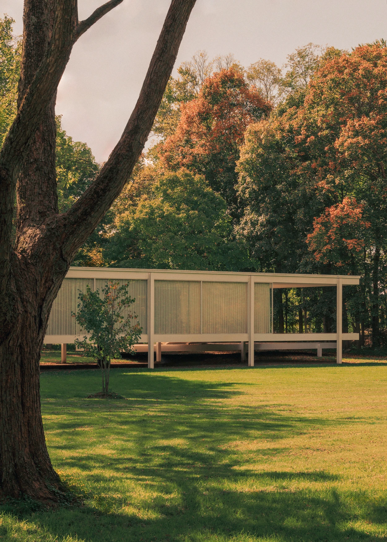 TheGetaway_Kinfolk_CMA_2024_9C9A0615
